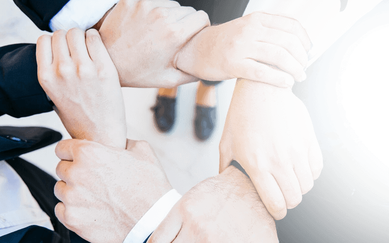 Qingdao Tsingsley Technology Co., Ltd.